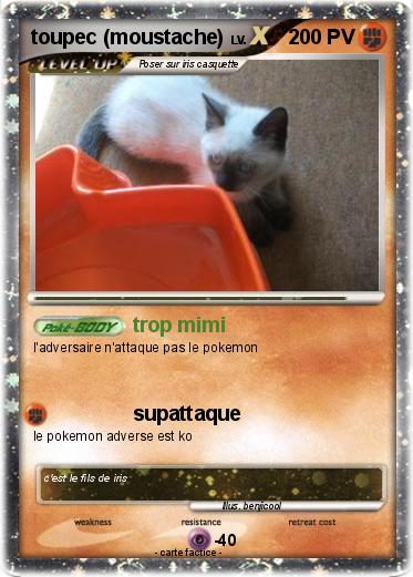 Pokemon toupec (moustache)