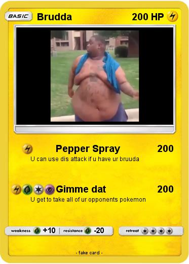 Pokemon Brudda