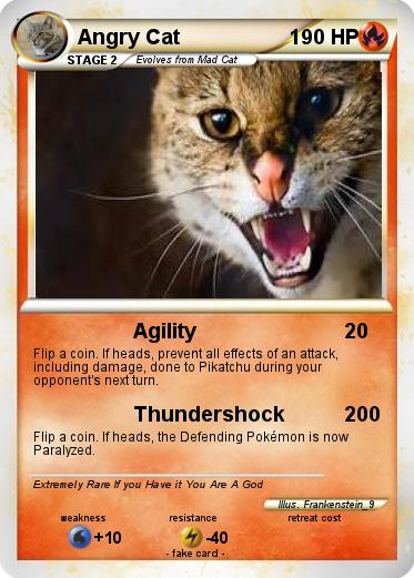 Pokemon Angry Cat