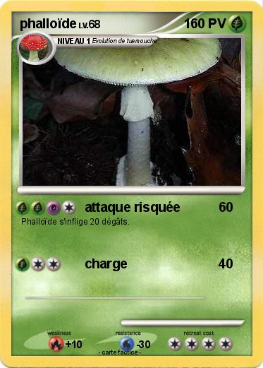 Pokemon phalloïde