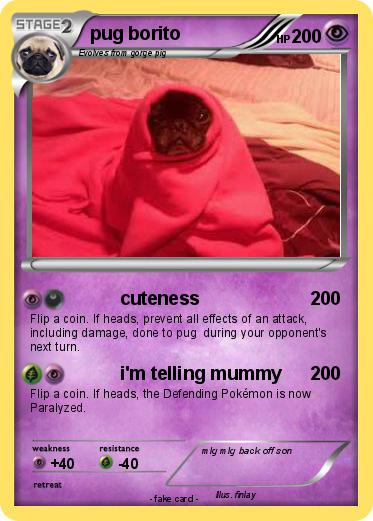 Pokemon pug borito