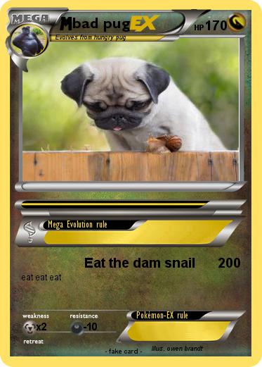 Pokemon bad pug