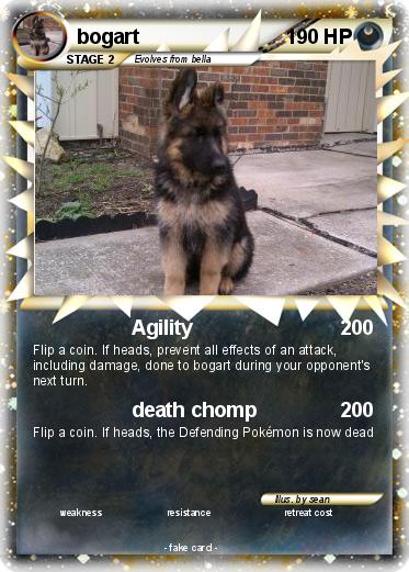 Pokemon bogart