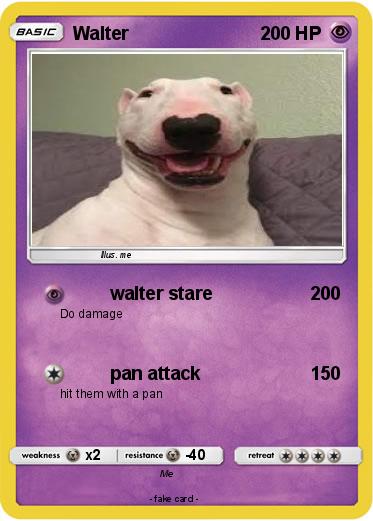 Pokemon Walter