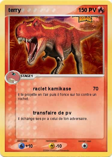 Pokemon terry