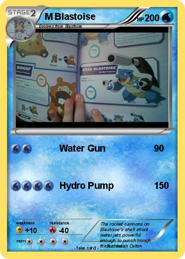 Pokemon M Blastoise