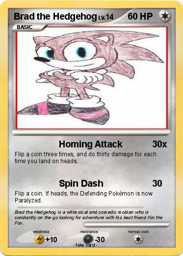 Pokemon Brad the Hedgehog