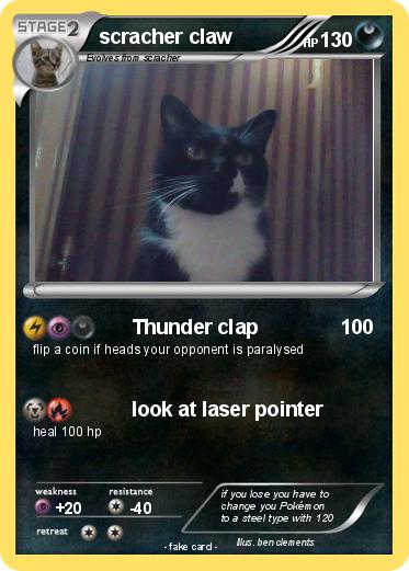 Pokemon scracher claw