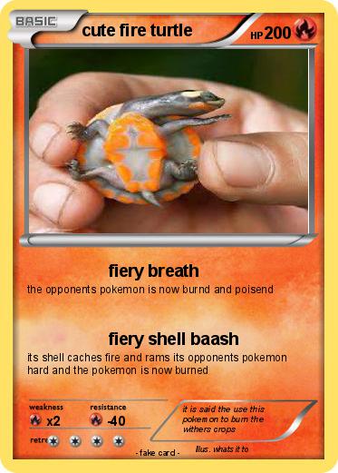 Pokemon cute fire turtle