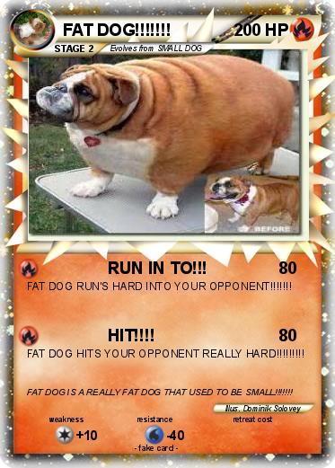 Pokemon FAT DOG!!!!!!!