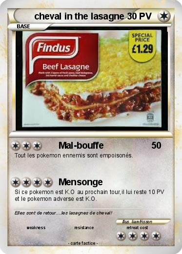 Pokemon cheval in the lasagne