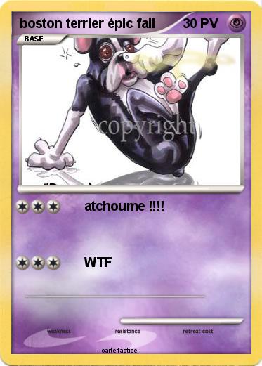 Pokemon boston terrier épic fail