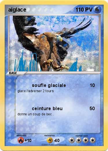 Pokemon aiglace