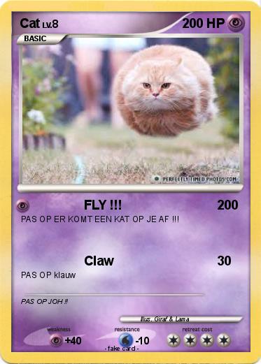 Pokemon Cat