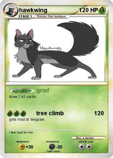 Pokemon hawkwing
