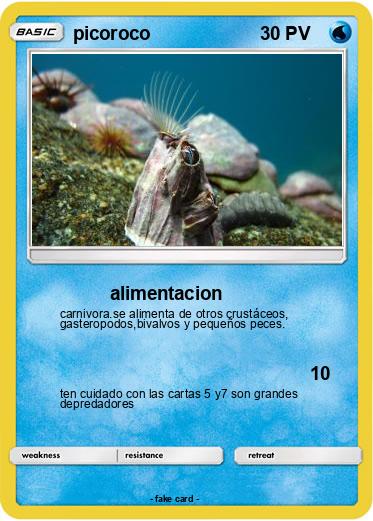 Pokemon picoroco