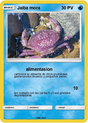 Pokemon Jaiba mora