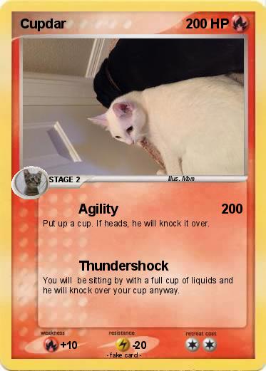 Pokemon Cupdar