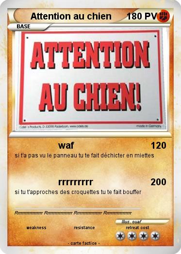 Pokemon Attention au chien