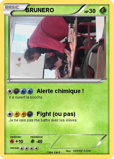 Pokemon BRUNERO