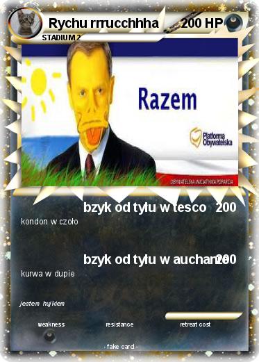 Pokemon Rychu rrrucchhha