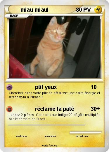 Pokemon miau miaul