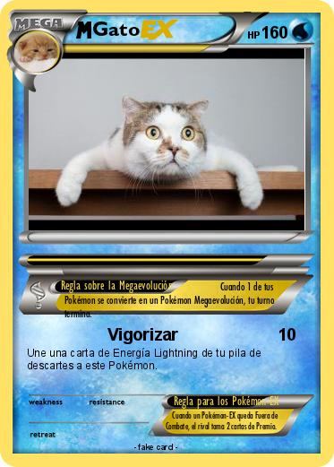 Pokemon Gato