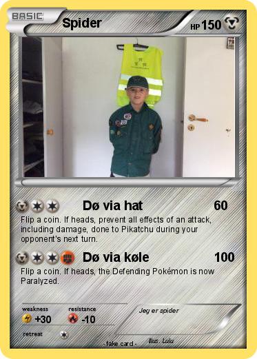 Pokemon Spider