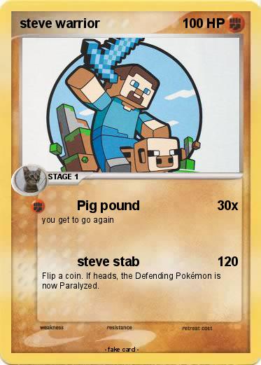 Pokemon steve warrior