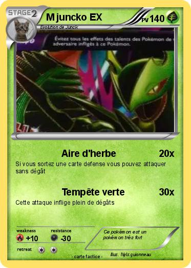 Pokemon M juncko EX