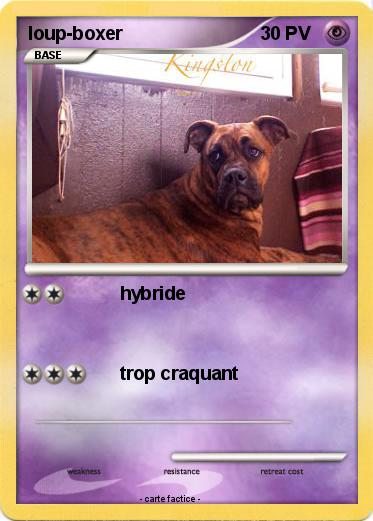Pokemon loup-boxer