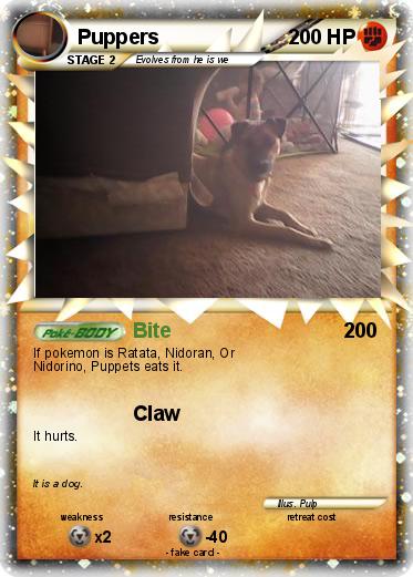 Pokemon Puppers