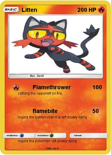 Pokemon Litten