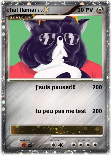 Pokemon chat flamar