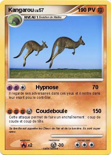 Pokemon Kangarou