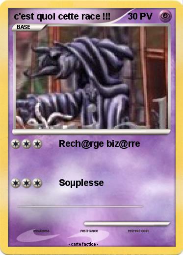 Pokemon c'est quoi cette race !!!