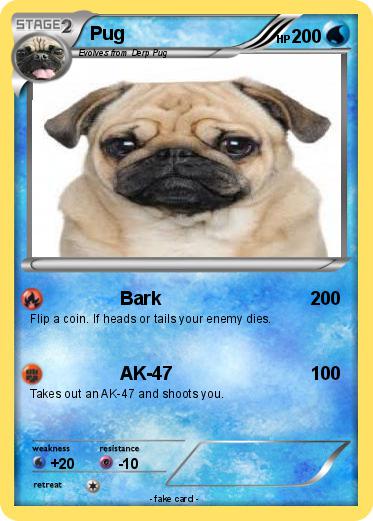 Pokemon Pug