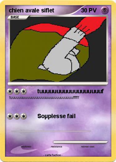 Pokemon chien avale siflet