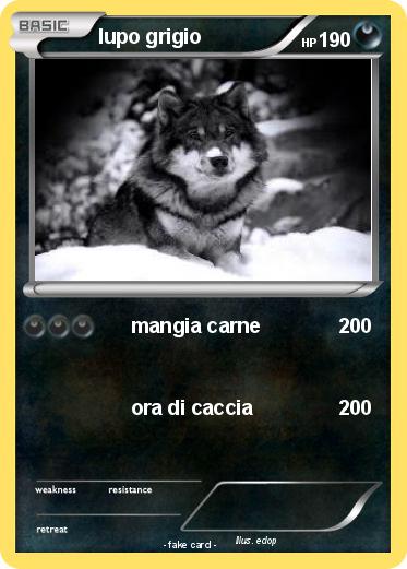 Pokemon lupo grigio