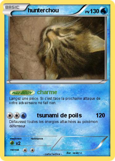 Pokemon hunterchou