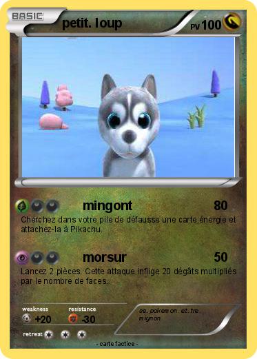 Pokemon petit. loup