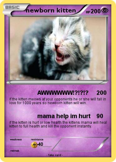 Pokemon newborn kitten