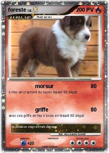 Pokemon foreste
