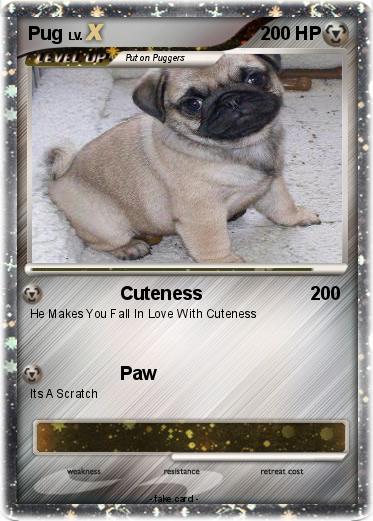 Pokemon Pug