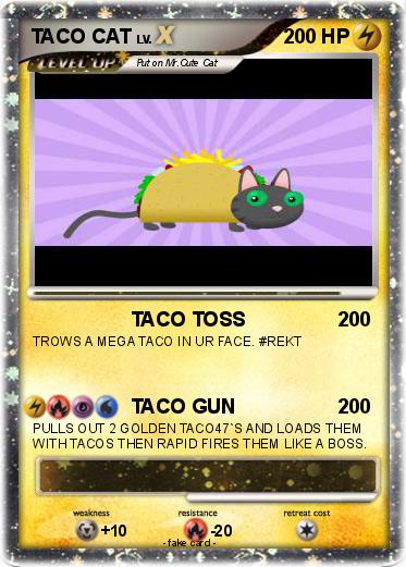 Pokemon TACO CAT