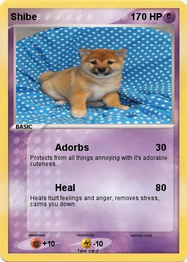 Pokemon Shibe