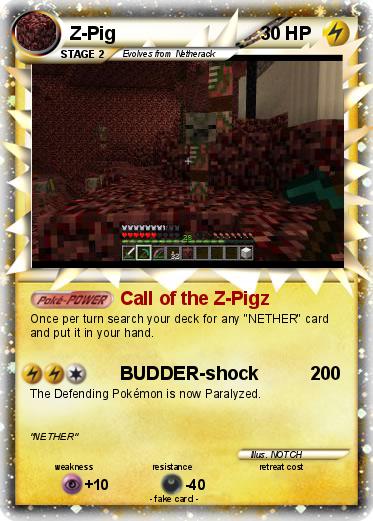 Pokemon Z-Pig