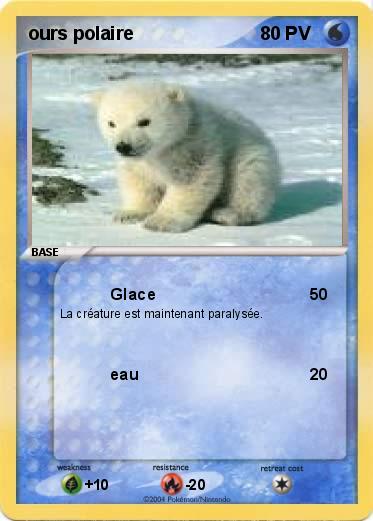 Pokemon ours polaire