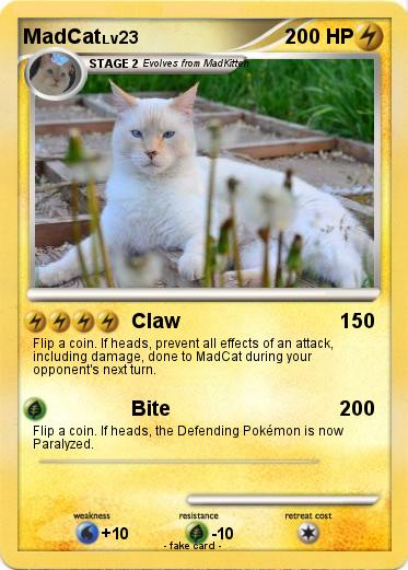 Pokemon MadCat