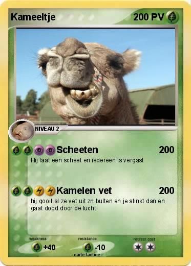 Pokemon Kameeltje